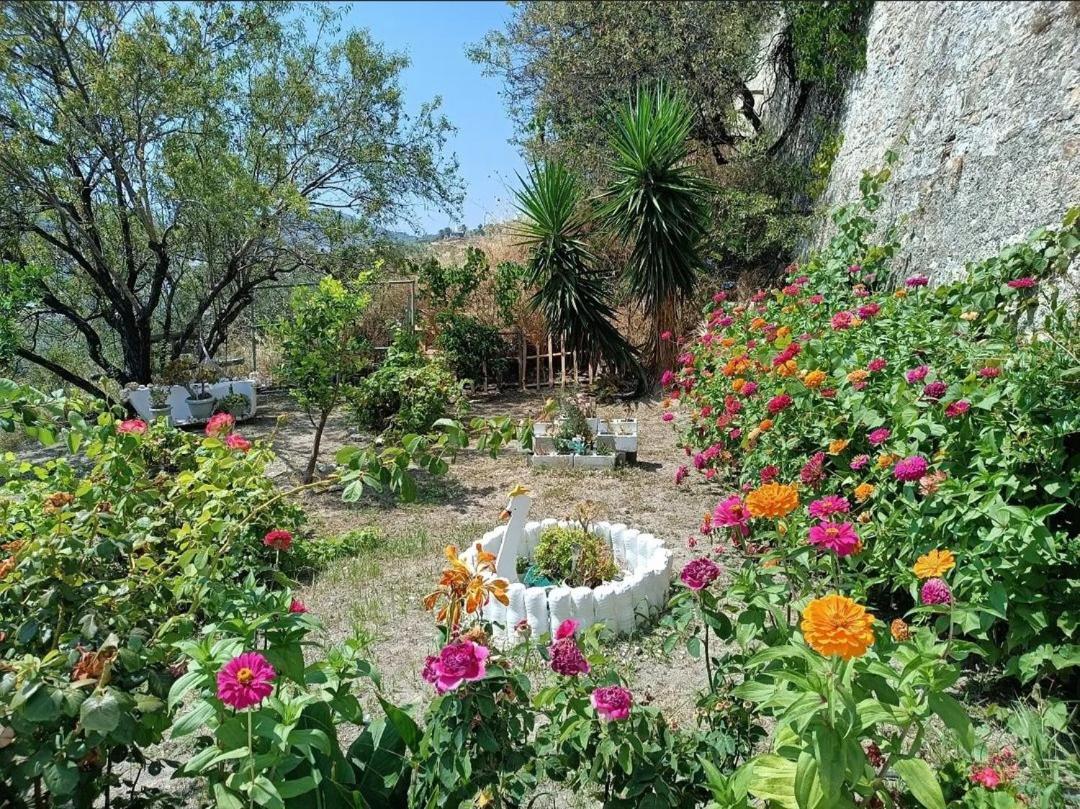 Mavrikou Helen Apartments Skyros Exterior foto