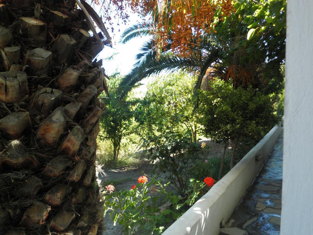 Mavrikou Helen Apartments Skyros Habitación foto
